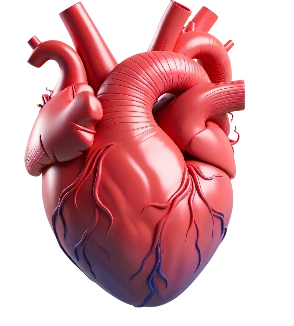Advanced Cardiac Care